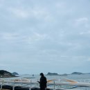 올레캠프본점알파캠프 | 제주올레트레킹캠프 본점 후기