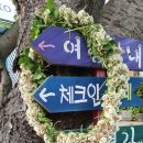 소풍게스트하우스&레드썬셋펜션 이미지