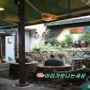 집밥 한상 이미지