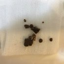 분당 아마존 동물병원 이미지