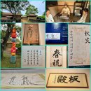최선생공부방 | 제주 서귀포 김정희 유배지 제주 추사관 추사 탄신 240주년 특별전 가문에서 피어난 예술 전시회