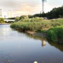 학의천변 이미지