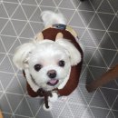 루네일공방