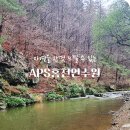 APS홍천연수원
