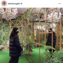 시몬스컴퍼니 이미지