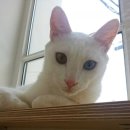 봄날동물병원 이미지