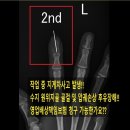 장원건설기계