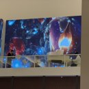 기장군 거리공연 | 부산 기장 아이랑 트리카페 탄티 눈내리는 시간 무료 공연 시간