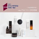 인셀덤미