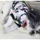 개편한세상카페
