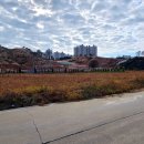 장천1길 이미지