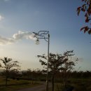 을숙도 생태공원 이미지