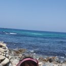 아람이네 이미지