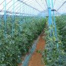 방문농장 이미지