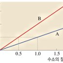 화평화학 이미지