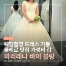 웨딩촬영 드레스 가봉 후기 | 마리레나 바이 블랑 6벌 피팅 (볼레로 맛집, 강남 드레스샵 추천)