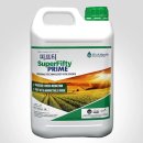 NK팩토리 | 마늘 양파 늦게 심었을 때 꼭 해야되는 일