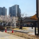 도심길49 네이버블로그