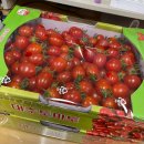 용수차경 돌품 | 2023 July.zip(1)