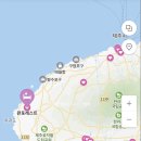 판포레스트