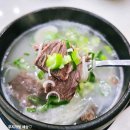 강원도 정선 여행 정선 맛집 조양옥 방문 후기