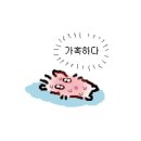 정*두 | [비잔정] 복용 두달 후기|부작용
