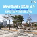 율량동 율봉근린공원 &amp; 율량동 고가 - 따뜻한 햇살 속 기분 좋은 산책길