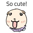 소피아헤어 이미지