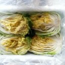 횡성맛김치 이미지