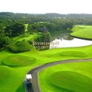 CC카써비스 이미지