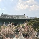 소유호텔 이미지