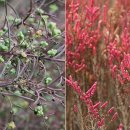 갯벌이야기 이미지