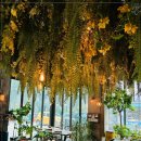 석촌가든 이미지