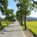 한국콘도 뉴스세상