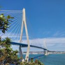 하도바다 이미지