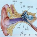 노인 내이전정(內耳前庭)기능장해 이미지