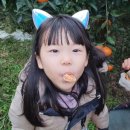 진해농장 이미지