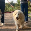 자란초등학교 이미지