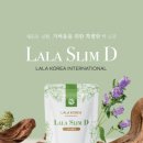 라라코리아 이미지