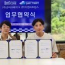 디엠씨트립스