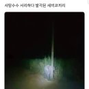 사탕수수 서리하다 발각된 새끼코끼리 이미지