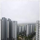 대광부동산공인중개사사무소 이미지