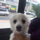 순창 동물병원 이미지