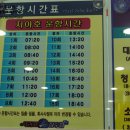 이니지아 이미지