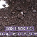 요땡 이미지