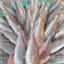 1월 13일(목) 목포는항구다 생선카페 판매생선[ (제수용, 반건조)참조기, 명태포, 홍어애, 고등어, 홍어 ] 이미지