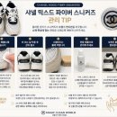 샤넬크린 네이버블로그
