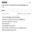 나이어린 신입직원이 차 끌고 오셨냐고 해서 불편해진 사람 ㄷㄷ 이미지