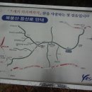 야은초교 이미지