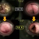 유기화동물의료센터 이미지